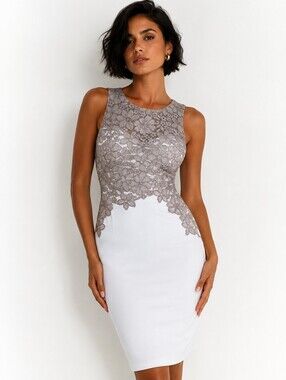 Ralph Lauren Gray Lace Trimmed Crepe Dress Size 4 Formal Bridal Shower Dress